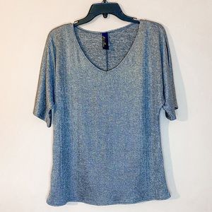 Francesca’s Blue Rain Silver Metallic V-Neck Top